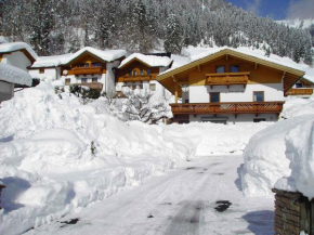 Apartments in Walchsee Kaiserwinkl 489